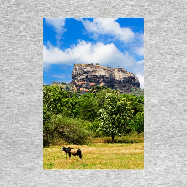 Sigiriya Rock & Cow by bulljup